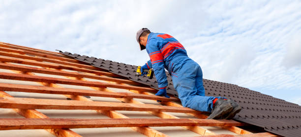 Best Emergency Roof Repair Services  in Trenton, MI