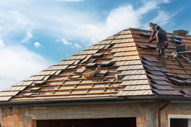 Best Roof Maintenance and Cleaning  in Trenton, MI