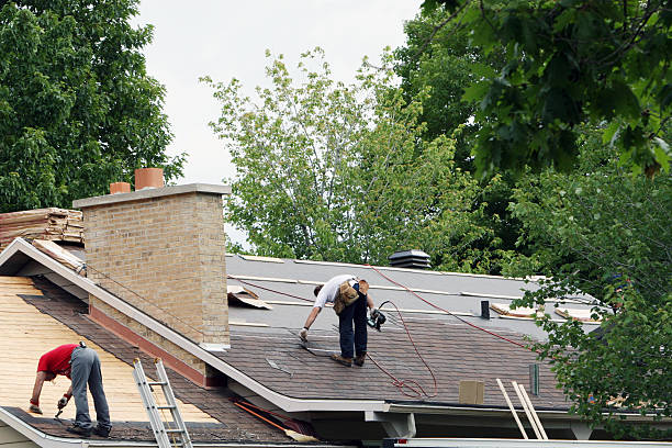Best Roof Ventilation Installation  in Trenton, MI