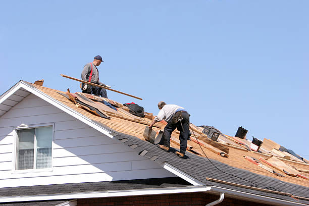Sheet Metal Roofing in Trenton, MI
