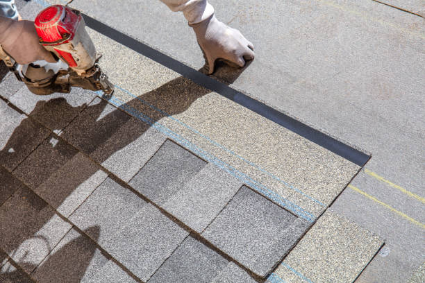 Best Roofing for New Construction  in Trenton, MI